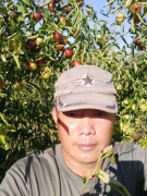 沾化冬枣生态种植基地——鲁令功 荣获“原生态优质水果”冠军 沾化冬枣生态种植基地——鲁令功 荣获“原生态优质水果”冠军